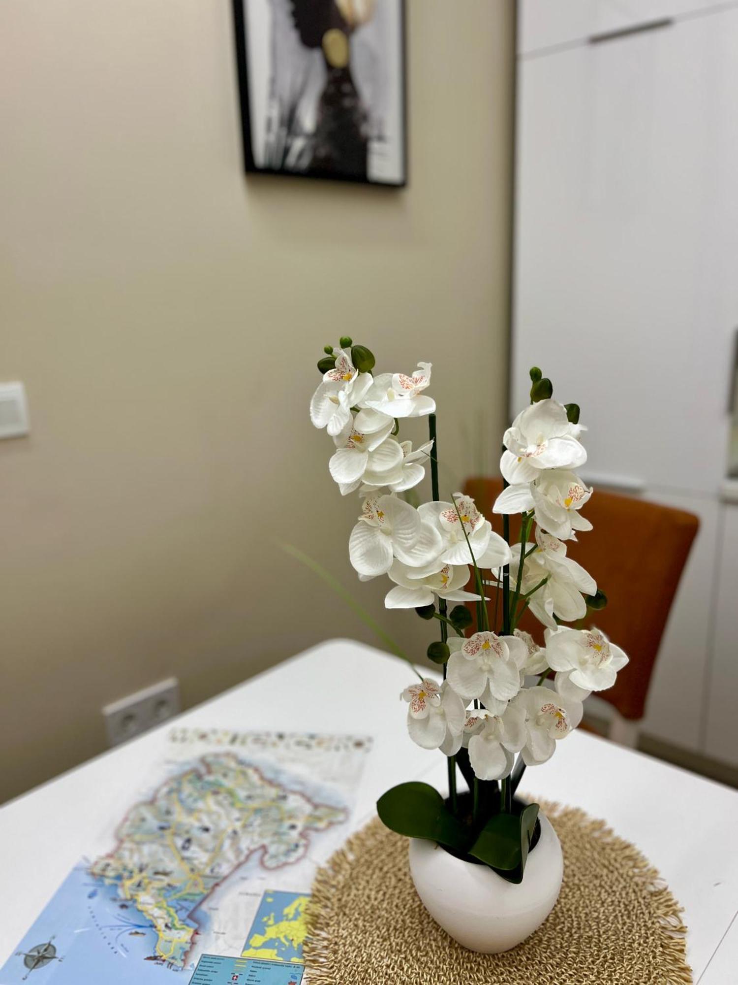 Nevenka Apartment บาร์ ภายนอก รูปภาพ
